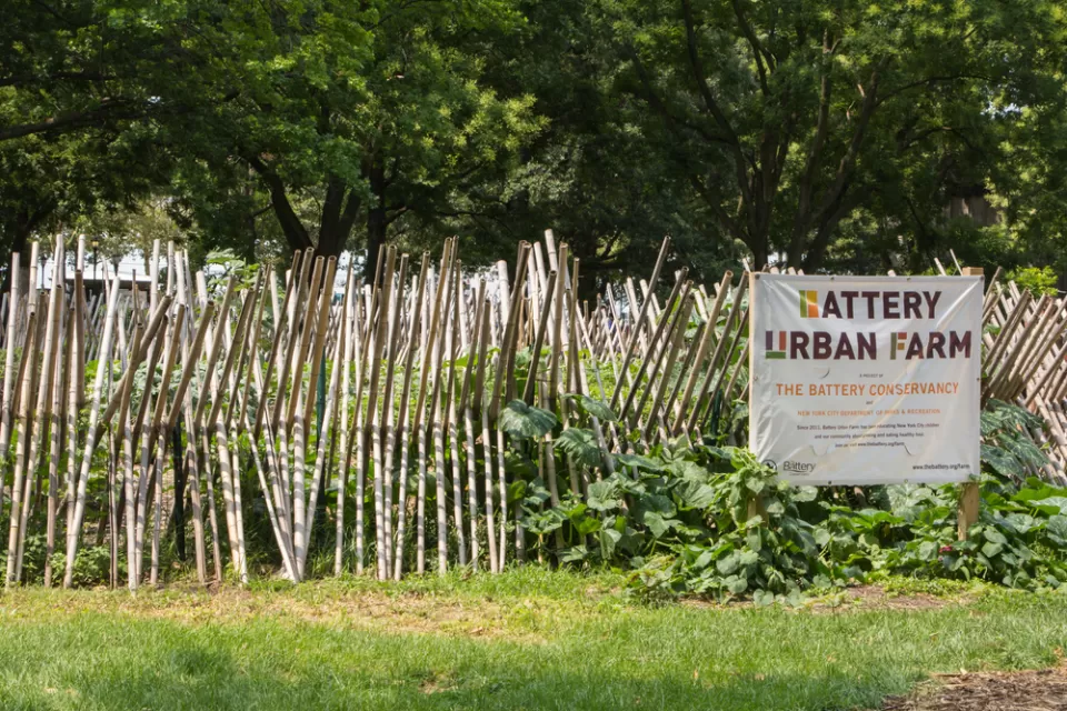 Battery Urban Farm